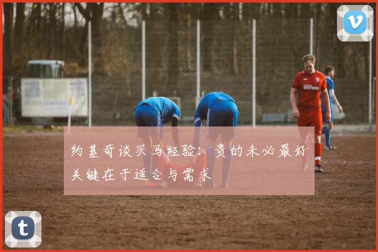 约基奇谈买马经验：贵的未必最好关键在于适合与需求