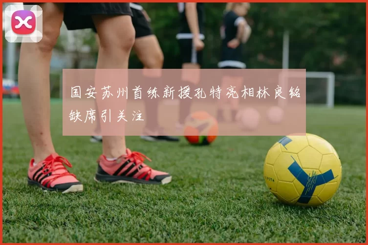 国安苏州首练新援孔特亮相林良铭缺席引关注