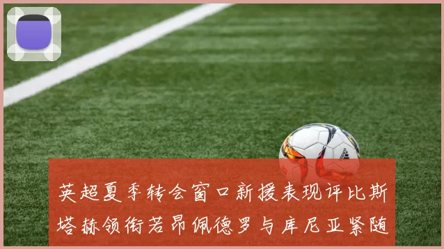 英超夏季转会窗口新援表现评比斯塔赫领衔若昂佩德罗与库尼亚紧随其后