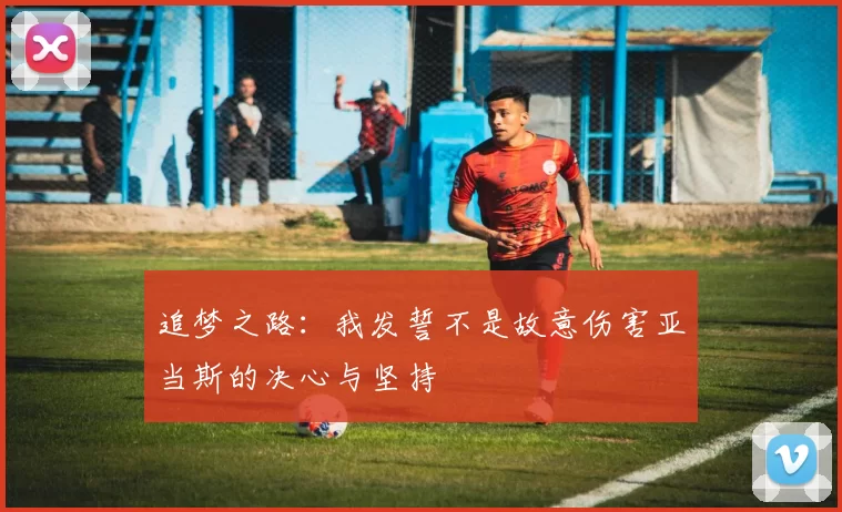 追梦之路：我发誓不是故意伤害亚当斯的决心与坚持