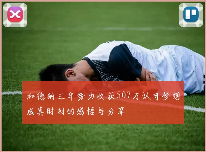 加德纳三年努力收获507万认可梦想成真时刻的感悟与分享