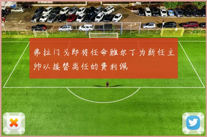弗拉门戈即将任命雅尔丁为新任主帅以接替离任的费利佩